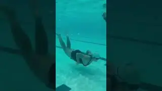 Duck Dive #ofwhk #shortvideo #swimming