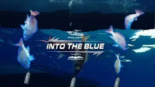 Deep Dropping for Queen Snapper&mdash;and Saving the Ones We Couldn&rsquo;t Keep