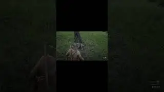The Legendary Animals In Red Dead Redemption 2