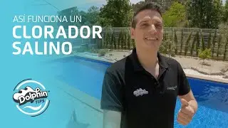 &iquest;C&oacute;mo funciona un clorador salino? | Dolphin Tips