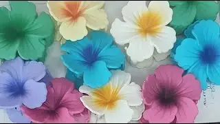 NY Collections.. hair accessories.. sport booking available