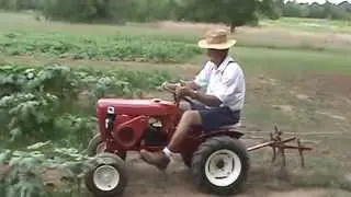 Wheel Horse in the garden