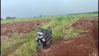 802-17 international Large Scale Banana Contract Farming Land Preparation,O2 Park +918827738222 | AI