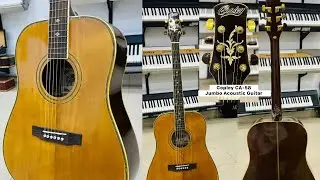 Copley CA-58 Jumbo Acoustic Guitar ( Wilsons Music Instruments Whatsapp No 03371476660 )