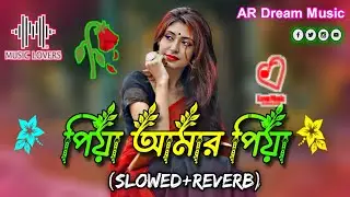 নিঃশ্বাস আমার তুমি | Nishash Amar Tumi ( Slowed Reverb ) Notun Gaan Lofi New Song_AR Dream Music