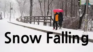 5 minutes bruising, meditating-snow falling (prevention of dementia)