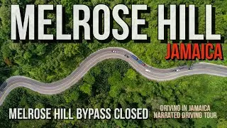 Melrose Hill Jamaica