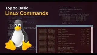 20 Basic Linux Commands for an Incident Responder (DFIR)