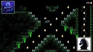 NS The Messenger - Stage #4: Howling Grotto