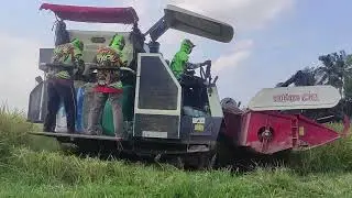combain mania