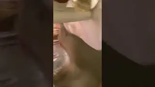 SHARK PUPPET DESTROYS REFRIGERATOR!!!!!