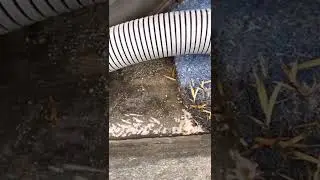 Wastewater Recovery