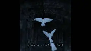 piedkies - back and forth
