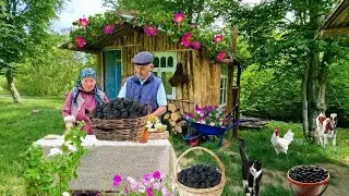 Ежевичный Пирог и Варенье для всей семьи — быстро и вкусно. Жизнь в деревне 🌱