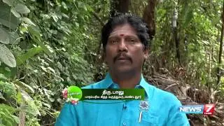 How to grow 'Elumbu otti' which strengthens bones | Poovali | News7 Tamil