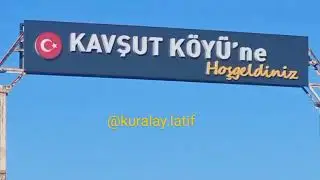 Kavşut