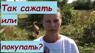 ПРОДОВОЛЬСТВЕННАЯ БЕЗОПАСНОСТЬ