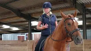 Ridden Top to Toe - Jenny and Red - Classical Rider Training