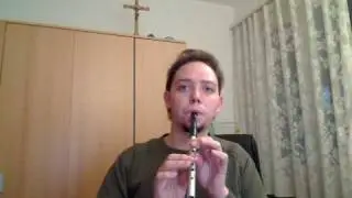 Fullmetal Alchemist - Brothers  (Tin Whistle)