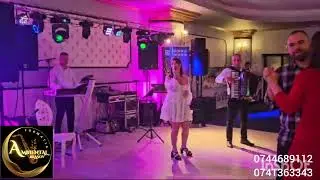 Formația Ambiental Brașov - Muzica ușoară ( live)