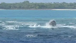 Rough waters around Oeno