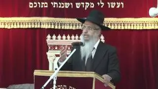 הלכות ליל הסדר | הרב יורם סרי