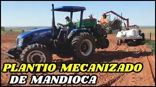 PLANTIO MECANIZADO DE MANDIOCA