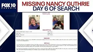 Nancy Guthrie: Investigators ramping up search for mom of 'Today' host l FOX 10 Phoenix
