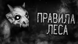 FOREST RULES! Scary bedtime stories  Horror stories  Creepy stories