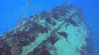 Diving the SS Yongala | One of the World&lsquo;s Best Wreck Dives