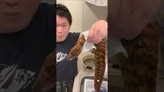 tomikkunet funny crazy seafood video😂😂😂|Tiktok the Best!! #shorts #TikTok