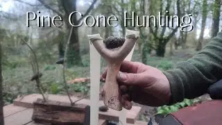 Sparrow Hawk Catapult, New Bands Test