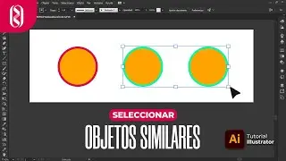 🔸 C&oacute;mo seleccionar varios objetos que tengan caracter&iacute;sticas similares en Adobe Illustrator 🔸