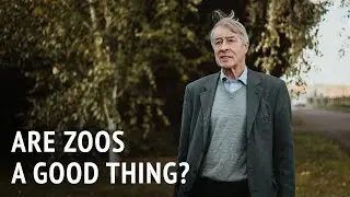 Are Zoos A Good Thing? | Prof. Donald Broom
