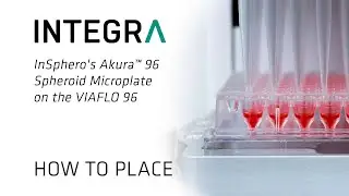 How to place an InSphero Akura 96 Spheroid Microplate on the VIAFLO 96