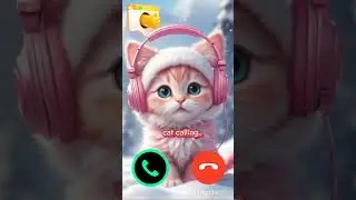 Cute cat calling me #rinkton #samsung #yotubeshorts #funny #call #lovesong #lovcat #videocall 📞
