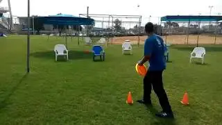 Frisbee Accuracy under pressure
