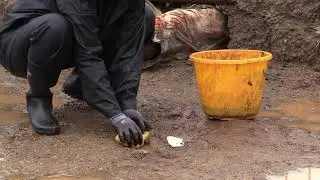 DOVTA  Handling wet sites (Dutch)