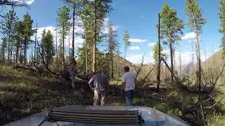 Clearing a spur on old flowers road 8-26-17