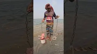 Chicken Bait with Eggs and Flour #fishing #fishinglife