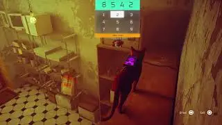 Stray 2458 digicode