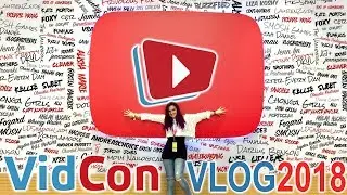 MY FIRST VIDCON EXPERIENCE (VidCon 2018 Vlog)