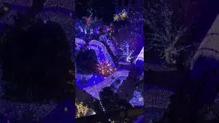 Moon Light View ( ENOSHIMA )Japan 🇯🇵03-01-2026