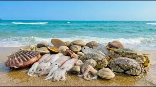 🌊 Ocean Catch WOW! Octopus in a Bottle, Crabs, Razor Clams & Sea Anemones at Low Tide