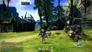 Tera Online Female High Elf Warrior Attack Animations