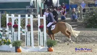 246S Sophie Dever on Contenance 17 JR Novice Show Jumping Woodside October 2020