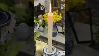 If your candles drip, you're doing it wrong! | Unscented Dripless Clean-Burning Tapers