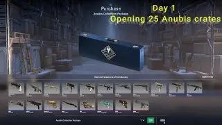 CS2 Day 1 opening 25 Anubis crates | CS2 | Crate Opening | Knight Wolf