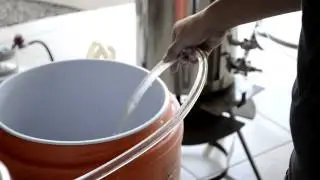 How to Brew a Steam Beer
