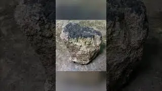 METEORITE COLLECTOR.